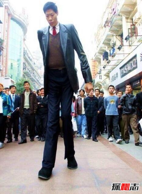 世界上最高的男生图片