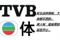 TVB体是什么意思( 套用TVB电视剧中的经典台词)