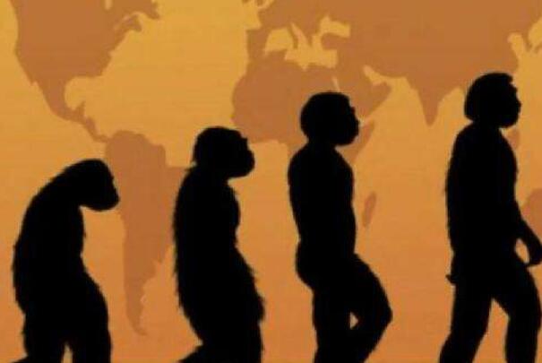 世界上第一个死亡的人 古猿人(宗教说法不同)