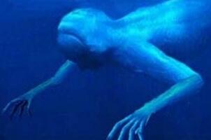 南极怪物ningen真相，实则日本科学家秘密制造的新物种