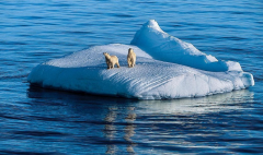 当南极北极的冰川完全融化，人类世界会发生什么改变？