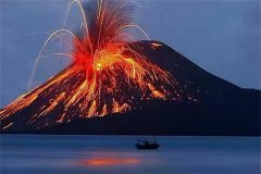 如果汤加火山爆发的话，有哪些海底生物能够逃过一劫呢