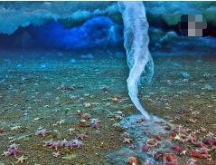 南极死亡冰柱诡异至极，能瞬间冻结海洋生物(视频)